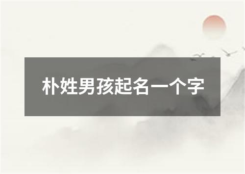 朴姓男孩起名一个字