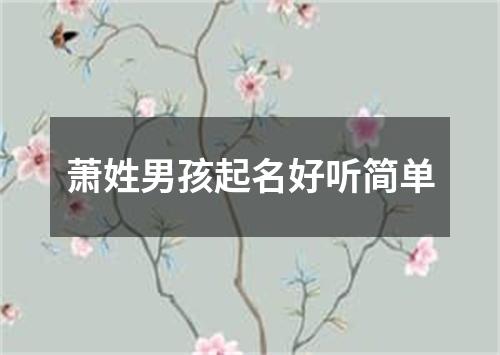 萧姓男孩起名好听简单