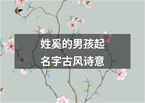 姓奚的男孩起名字古风诗意