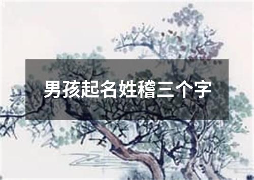 男孩起名姓稽三个字