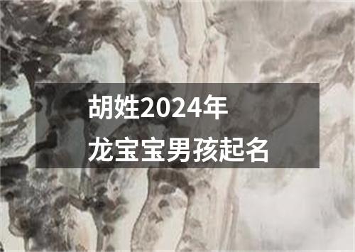 胡姓2024年龙宝宝男孩起名