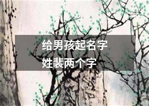 给男孩起名字姓裴两个字