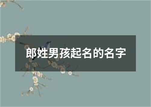 郎姓男孩起名的名字