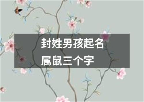 封姓男孩起名属鼠三个字