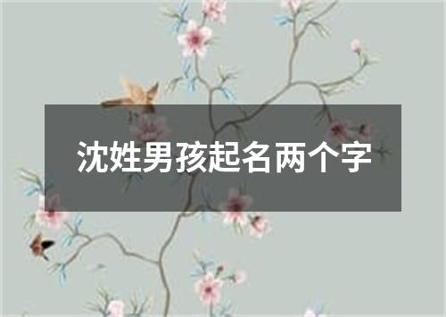 沈姓男孩起名两个字