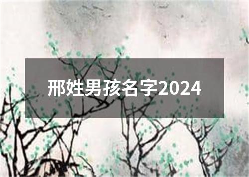 邢姓男孩名字2024