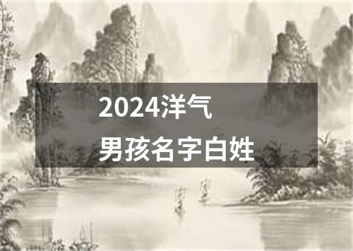 2024洋气男孩名字白姓