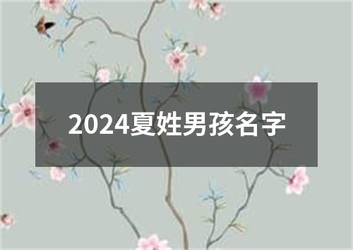 2024夏姓男孩名字