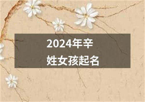 2024年辛姓女孩起名