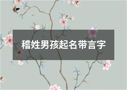 稽姓男孩起名带言字