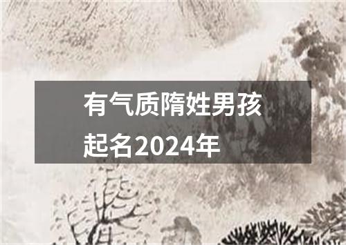 有气质隋姓男孩起名2024年