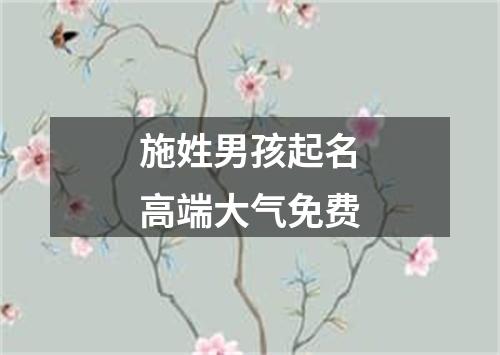 施姓男孩起名高端大气免费