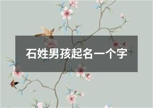 石姓男孩起名一个字