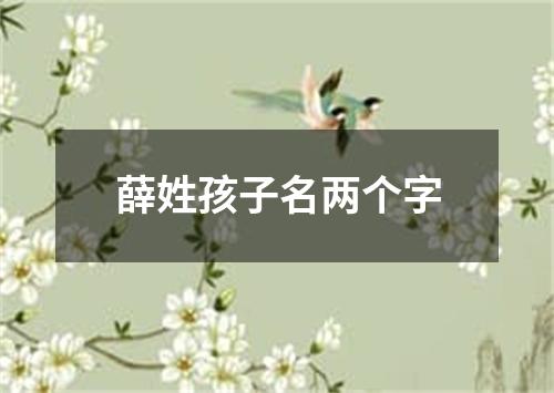 薛姓孩子名两个字