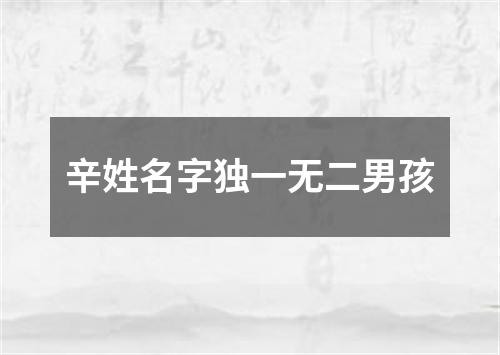 辛姓名字独一无二男孩