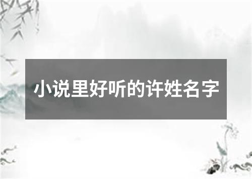 小说里好听的许姓名字