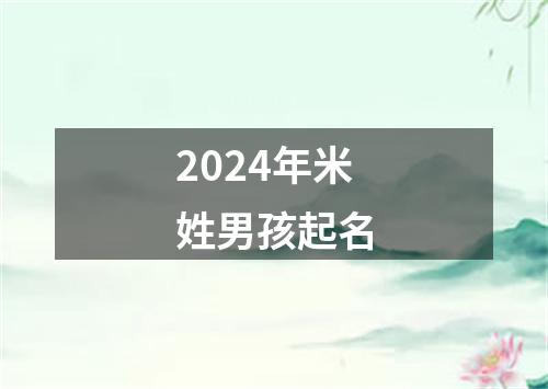 2024年米姓男孩起名