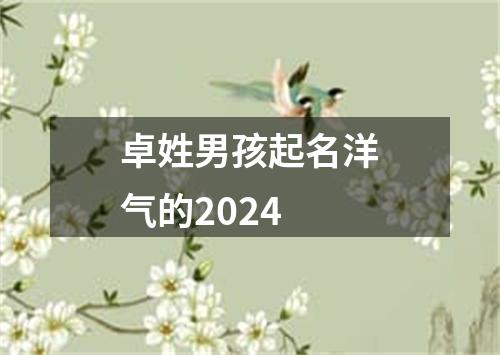 卓姓男孩起名洋气的2024