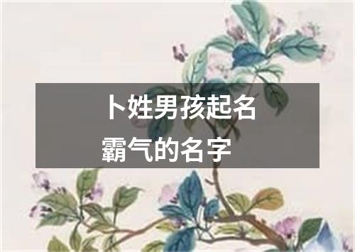 卜姓男孩起名霸气的名字