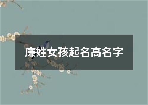 廉姓女孩起名高名字