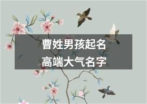 曹姓男孩起名高端大气名字