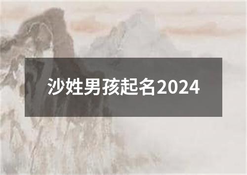 沙姓男孩起名2024