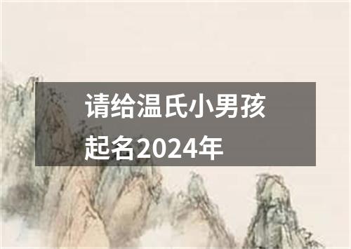 请给温氏小男孩起名2024年