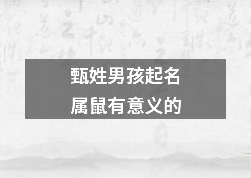 甄姓男孩起名属鼠有意义的