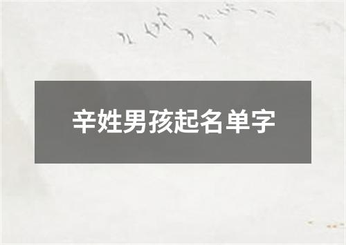 辛姓男孩起名单字