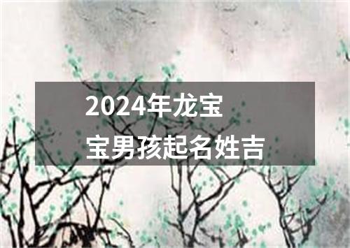 2024年龙宝宝男孩起名姓吉