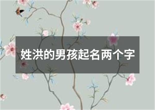 姓洪的男孩起名两个字