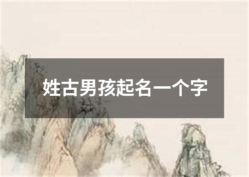 姓古男孩起名一个字