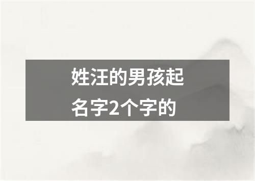 姓汪的男孩起名字2个字的