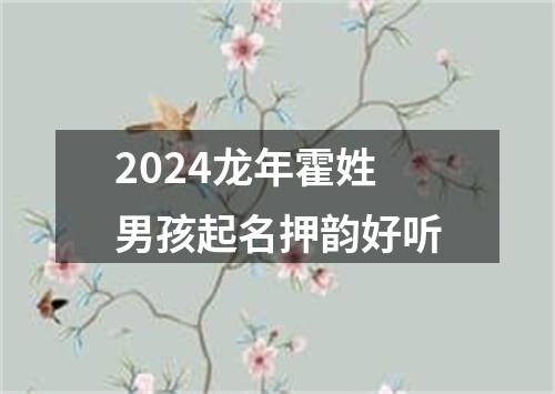 2024龙年霍姓男孩起名押韵好听