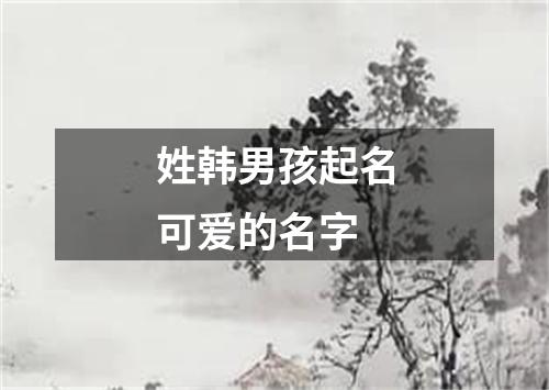 姓韩男孩起名可爱的名字