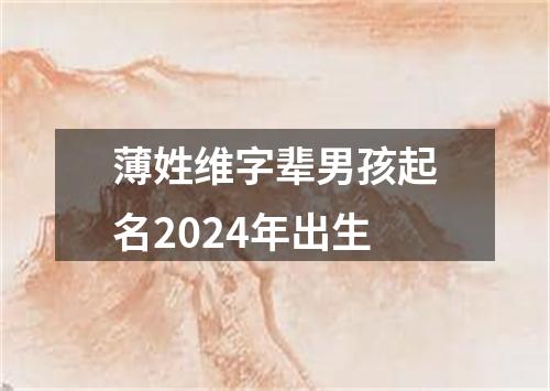 薄姓维字辈男孩起名2024年出生