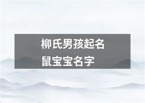 柳氏男孩起名鼠宝宝名字