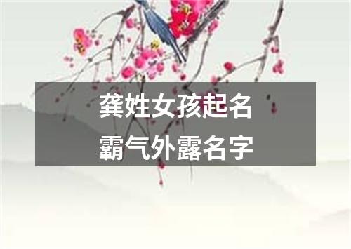 龚姓女孩起名霸气外露名字