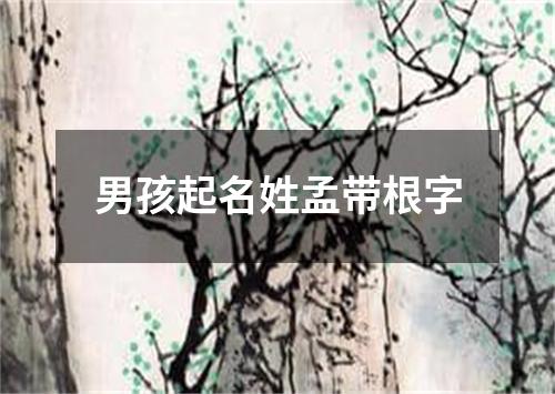 男孩起名姓孟带根字