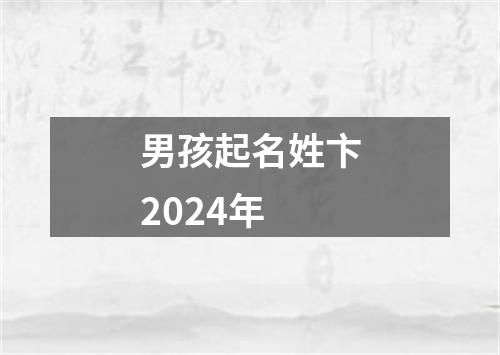 男孩起名姓卞2024年