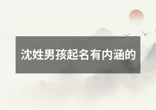 沈姓男孩起名有内涵的