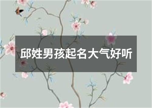 邱姓男孩起名大气好听