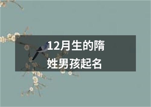 12月生的隋姓男孩起名