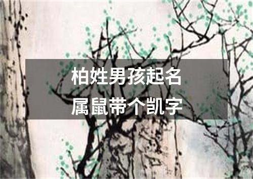 柏姓男孩起名属鼠带个凯字