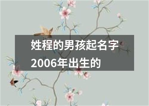 姓程的男孩起名字2006年出生的