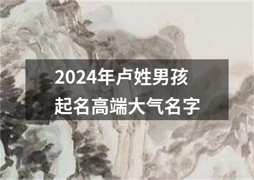 2024年卢姓男孩起名高端大气名字