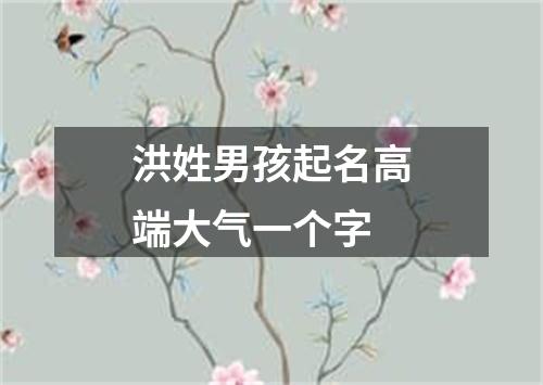 洪姓男孩起名高端大气一个字