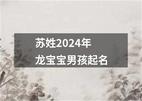 苏姓2024年龙宝宝男孩起名