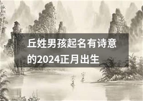 丘姓男孩起名有诗意的2024正月出生