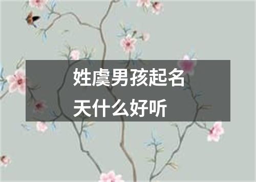 姓虞男孩起名天什么好听